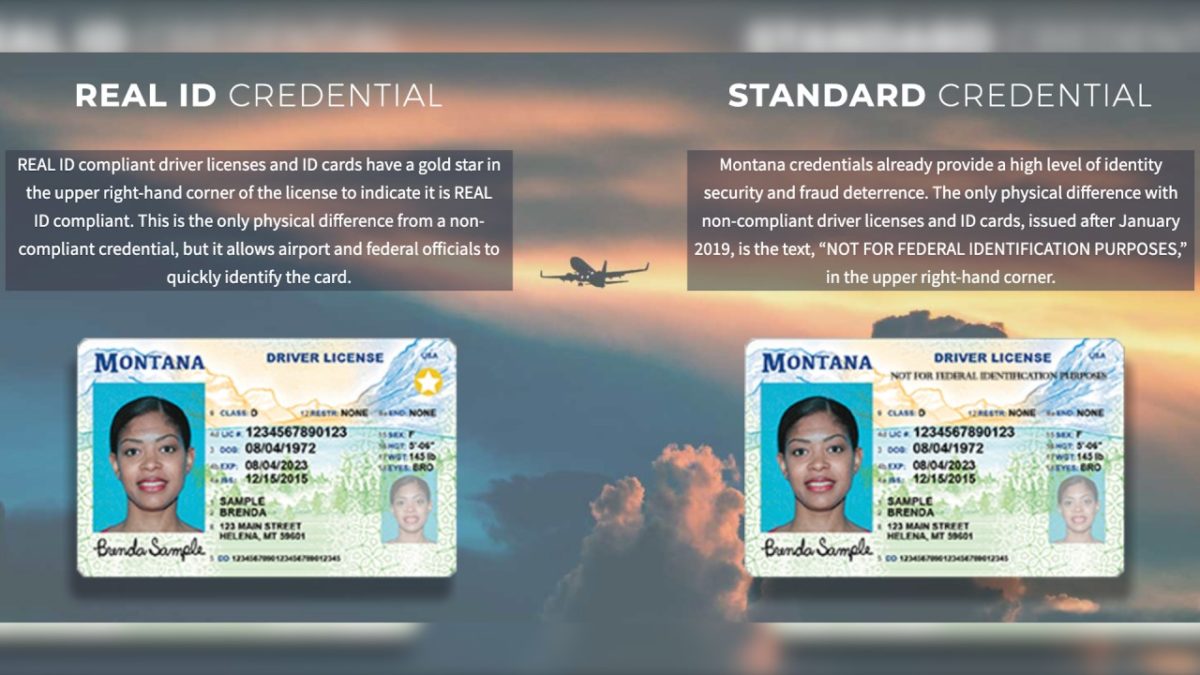 Daines seeks Real ID extension as Montana continues issuing compliant ...